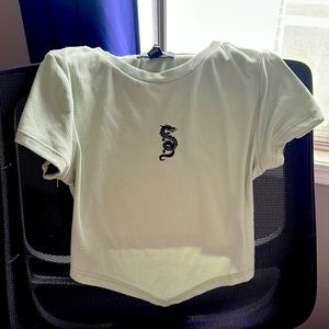 Mint Green street wear society shirt